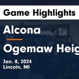Basketball Game Recap: Ogemaw Heights Falcons vs. Hillman Tigers