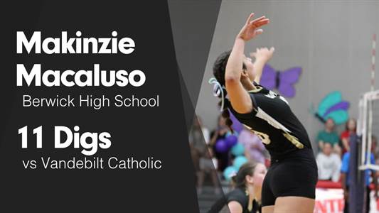 Softball Game Preview: Berwick Panthers vs. E.D. White Cardinals