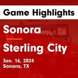 Basketball Game Recap: Sonora Broncos vs. Ozona Lions