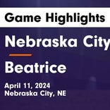 Soccer Game Recap: Beatrice Comes Up Short
