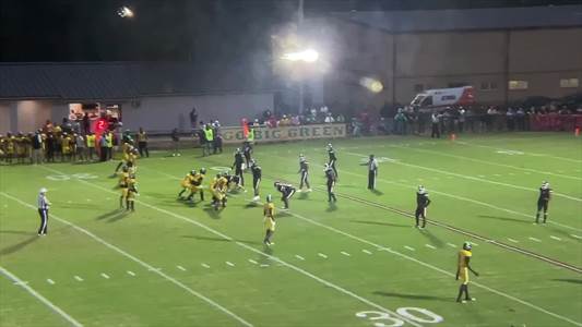 Baseball Recap: Raleigh Comes Up Short