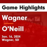 Basketball Game Recap: Wagner Red Raiders vs. Gregory Gorillas