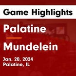 Basketball Game Preview: Mundelein Mustangs vs. Jacobs Golden Eagles
