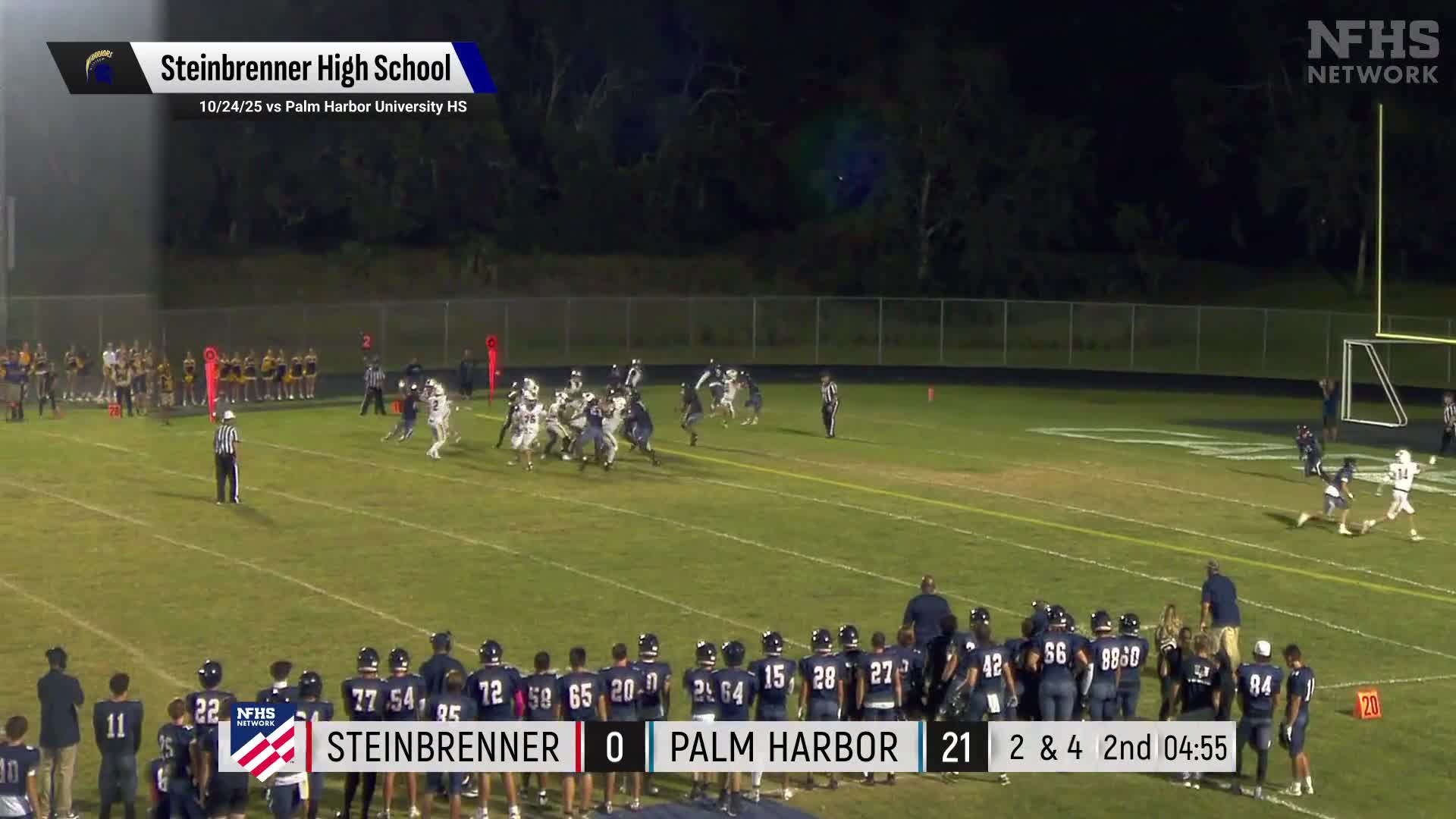 Football Recap: Rylen Dutka's Big Game Can't Quite Lead Steinbrenner over Plant + How To Watch