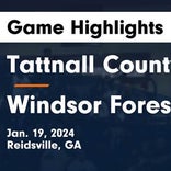 Basketball Game Recap: Windsor Forest Knights vs. Brantley County Herons
