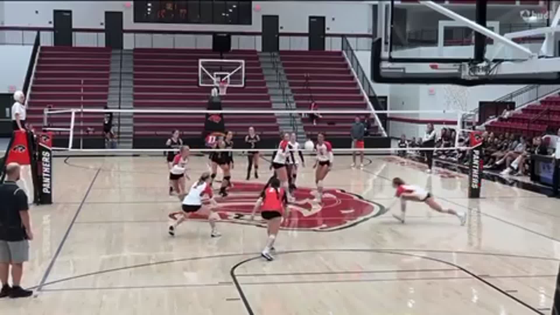 Volleyball Recap: Whitney Shepherd Key Part of Team Effort in Pa