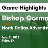 North Dallas Adventist Academy vs. Yavneh Academy