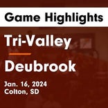 Basketball Game Recap: Deubrook Dolphins vs. Great Plains Lutheran Panthers