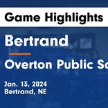 Basketball Game Preview: Bertrand Vikings vs. Kenesaw Blue Devils