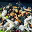 BASEBALL: Champions in every state