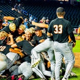 BASEBALL: Champions in every state
