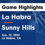 Sunny Hills comes up short despite  Nathan Sanchez's dominant performance