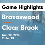 Basketball Game Recap: Clear Brook Wolverines vs. Dickinson Gators
