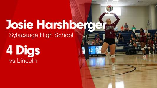 Softball Game Preview: Sylacauga Aggies vs. Munford Lions