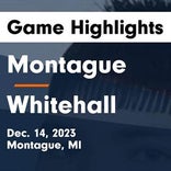 Basketball Game Preview: Montague Wildcats vs. Ludington Orioles