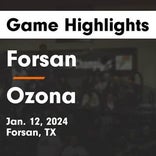 Basketball Game Preview: Forsan Buffaloes vs. Reagan County Owls