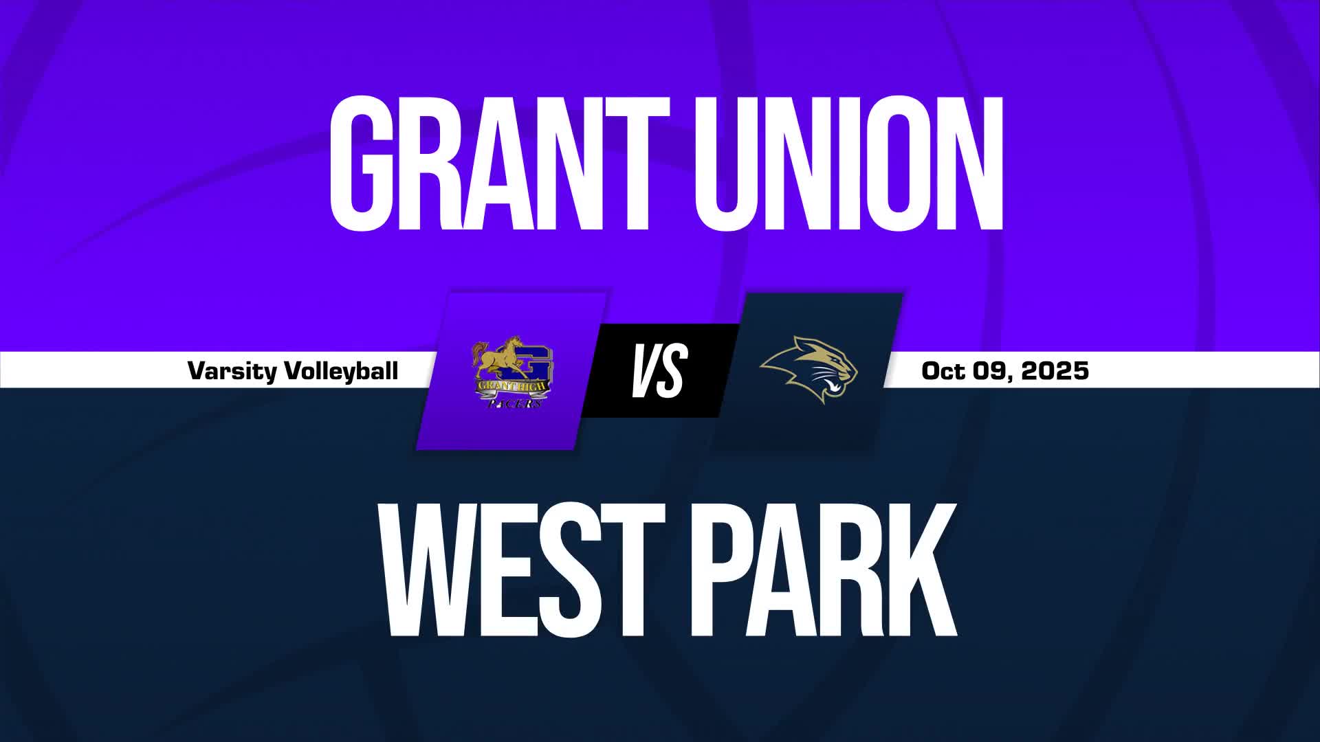 Volleyball Recap: West Park Finds Playoff Glory Versus Aragon + How To Watch