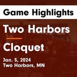 Two Harbors suffers third straight loss at home
