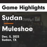 Basketball Game Recap: Muleshoe Mules vs. Brownfield Cubs
