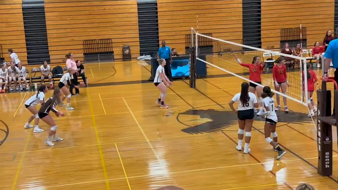 Volleyball Recap: Palmer Takes a Loss