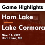Lake Cormorant vs. Saltillo