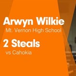 Softball Recap: Arwyn Wilkey can't quite lead Mt. Vernon over Carbondale