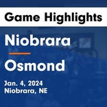 Basketball Game Preview: Niobrara/Verdigre Cougars vs. Chambers/Wheeler Central Renegades