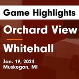 Basketball Game Recap: Orchard View Cardinals vs. Potter's House Christian Pumas