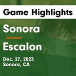 Basketball Game Preview: Sonora Wildcats vs. Amador Buffaloes