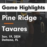 Basketball Game Recap: Tavares Bulldogs vs. Pine Ridge Panthers