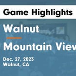 Basketball Recap: Mountain View falls despite strong effort from  Jeryck Chavoya