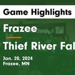 Basketball Game Recap: Frazee Hornets vs. Park Rapids Panthers