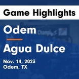 Agua Dulce vs. Tournament Opponent