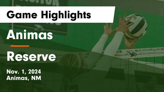 Volleyball Recap: Angel Pintor Leads Animas to Victory over Reserve