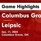 Basketball Game Preview: Columbus Grove Bulldogs vs. Crestview Knights