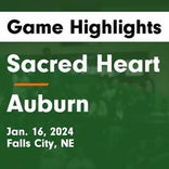 Basketball Game Recap: Auburn Bulldogs vs. Lincoln Lutheran Warriors