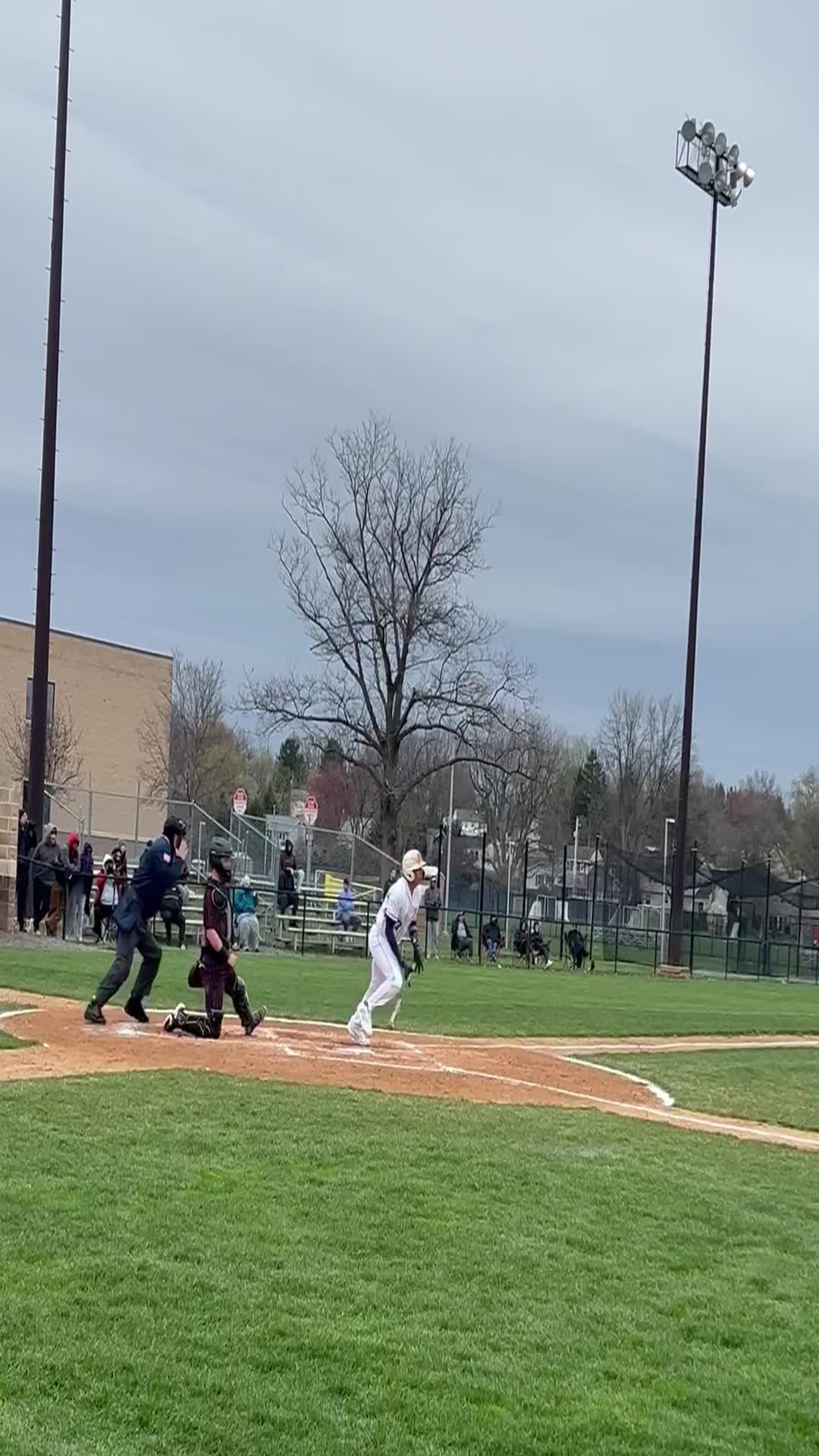 Baseball Recap: Manheim Township Triumphs