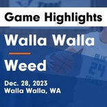 Weed picks up 14th straight win at home