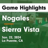 Basketball Game Preview: Nogales Nobles vs. Sierra Vista Dons