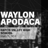 Baseball Game Preview: Hatch Valley on Home-Turf