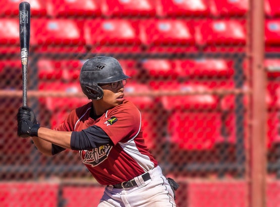 NM baseball stat leaders for 2016