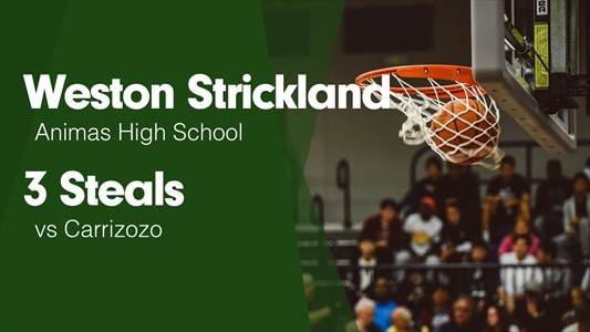 Basketball Game Preview: Animas Panthers vs. Reserve Mountaineer