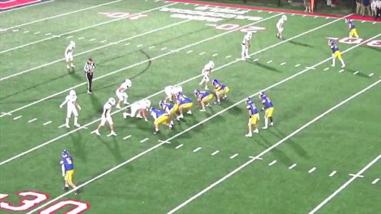 Baseball Game Preview: Catholic Central Plays at Home