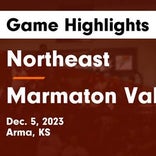 Basketball Game Preview: Northeast Vikings vs. Marmaton Valley Wildcats