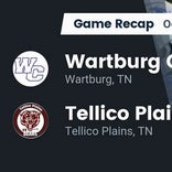Football Game Recap: Tellico Plains Bears vs. Wartburg Central Bulldogs