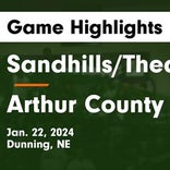 Basketball Game Recap: Arthur County Wolves vs. South Platte Blue Knights