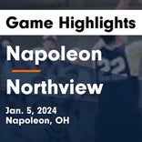 Basketball Game Preview: Napoleon Wildcats vs. Springfield Blue Devils