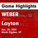 Weber falls despite big games from  Avery Shupe and  Abby Sayer