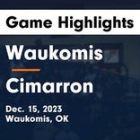 Basketball Game Preview: Cimarron Trailblazers vs. Drummond Bulldogs
