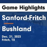 Basketball Game Recap: Sanford-Fritch Eagles vs. Sunray Bobcats